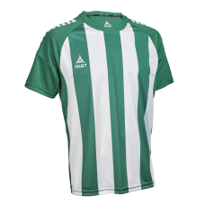 Футболка SELECT Spain v25 player shirt striped s/s Green- White